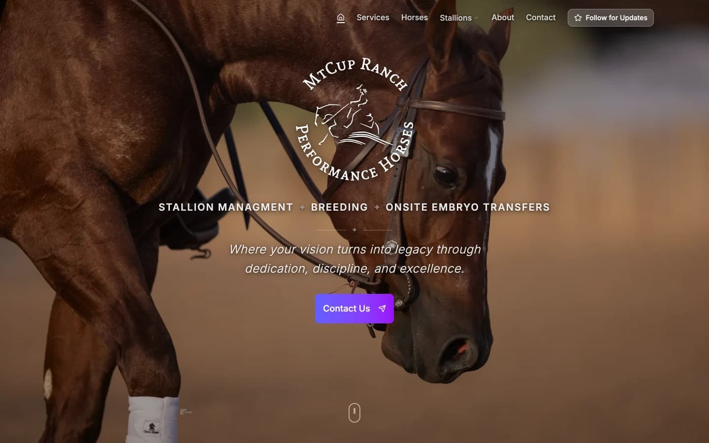 MtCup Ranch Performance Horses website